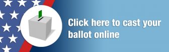 OEA-R online elections