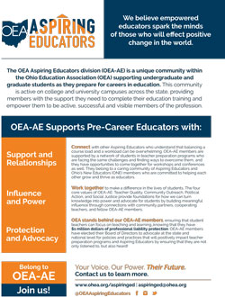 OEA-AE Flyer