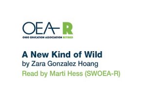 A New Kind of Wild A New Kind of Wild
