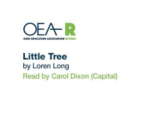Little Tree by Loren Long Little Tree by Loren Long